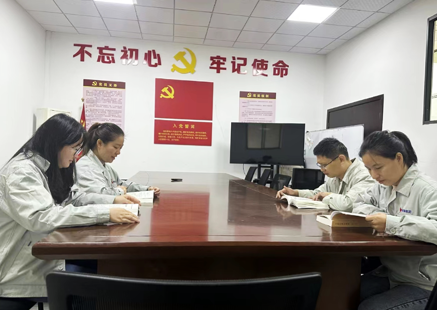 景陶集团团委开展学习贯彻习近平新时代中国特色社会主义头脑主题教育修改-党建新闻-景德镇陶瓷集团有限责任公司